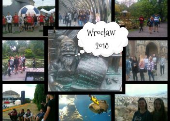 Wrocław – miasto spotkań i…krasnali